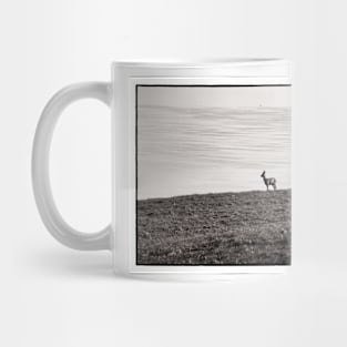 A Roe Deer crossing a field - Mull of Galloway, Scotland Mug